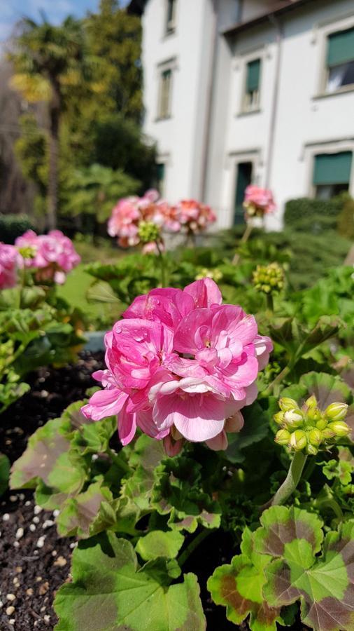 Villa Del Cigno Lecco Buitenkant foto